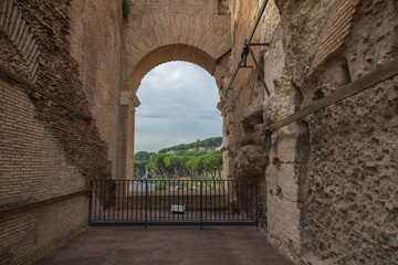 Stone arched window with trees and blue sky in background