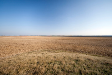 Obraz premium View of the Great Hungarian Plain in Hungary