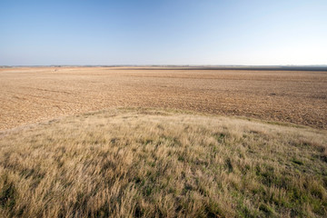 Fototapeta premium View of the Great Hungarian Plain in Hungary