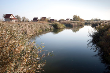 Fototapeta na wymiar Danube channel and common reed