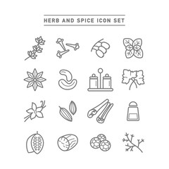 HERB AND SPICE ICON SET