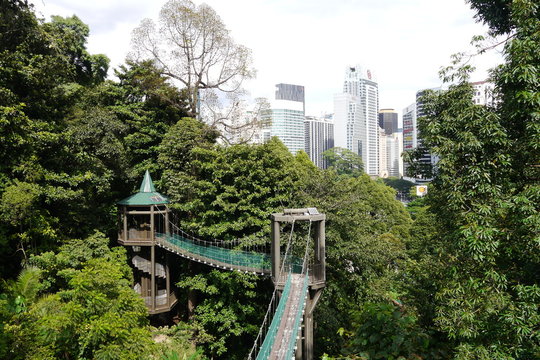 Canopy Walkway Eco Park Kuala Lumpur und Wolkenkratzer