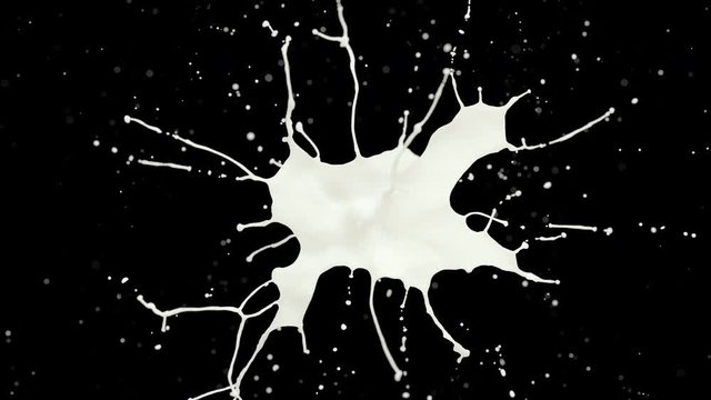 Cg animation of milk explosion on black. Slow motion. Has alpha matte