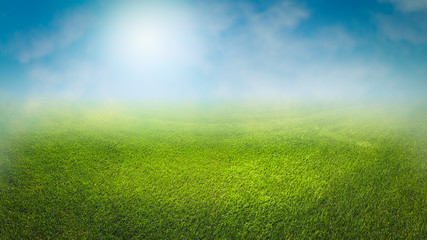 Fototapeta na wymiar Rasenfläche mit Nebeleffekt und durchdringende Sonne am blauen Himmel