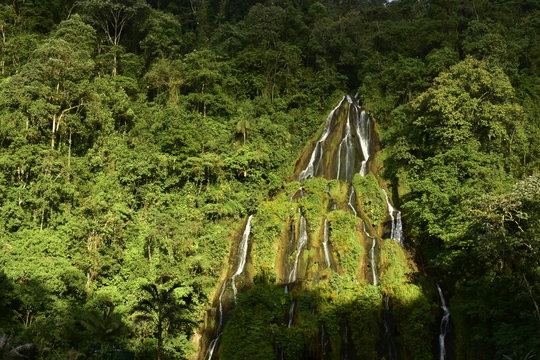 cascada, selva