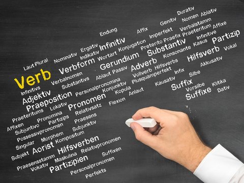 Verb