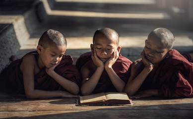 Novice monk reading book,in monastery, Bagan, Myanmar - obrazy, fototapety, plakaty