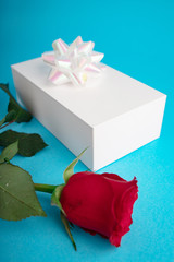 Red rose Gift for valentines day. Top view of present box package decorated into the white paper with white bow-knot. Flat lay on blue background. Concept of celebrate. Love and amour...