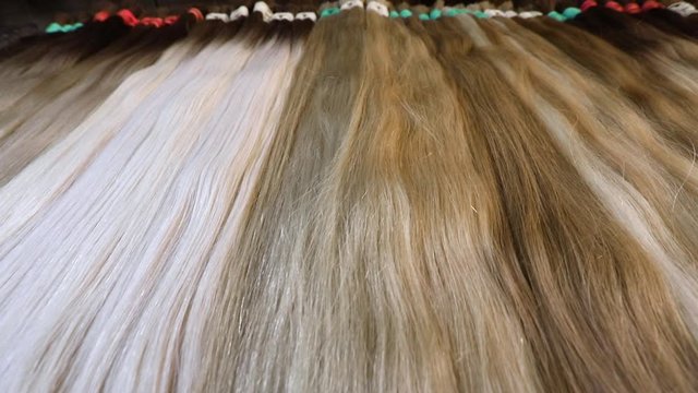 Natural female hair, beautiful female hair. Long hair extensions in the salon