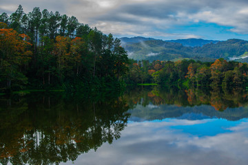 Fototapeta na wymiar lago reflejo en otoño 