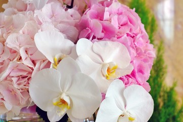 Fototapeta na wymiar A floral arrangement with white orchids and pink hydrangeas
