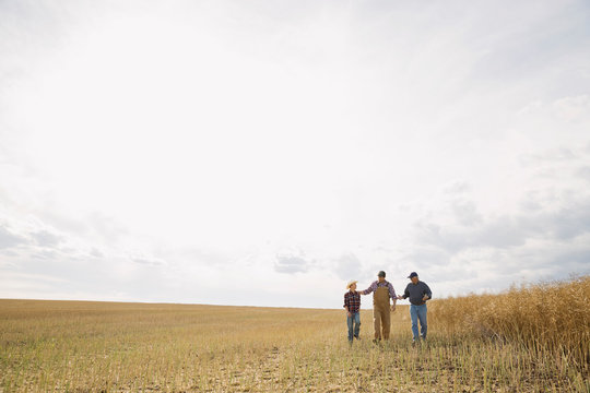 Multi-generation family walking in sunny wheat field