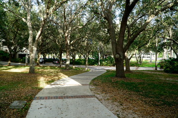 path in the park