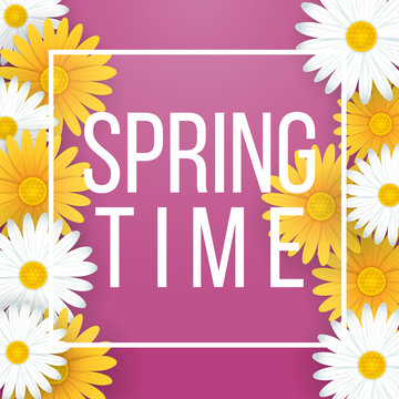 Spring time background with beautiful white and yellow flowers