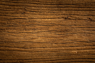 Natural weathered old elm texture background. Wooden board texture background.	