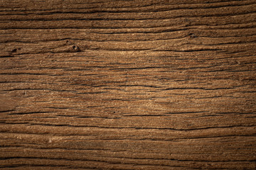 Fototapeta premium Natural weathered old elm texture background. Wooden board texture background. 