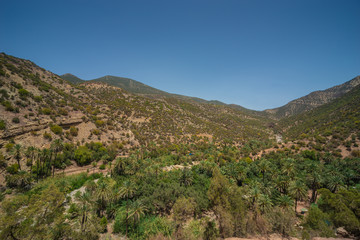 Fototapeta na wymiar Paradise Valley, Tamraght River, Morocco