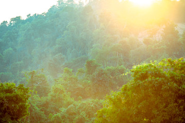 abstract background of nature,a high angle that can see the scenery around (trees,meadows,mountains, the light of the twilight in the evening) and the wind blowing through the large mountains