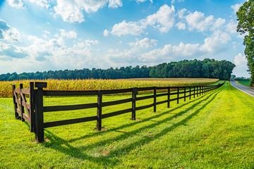 Amish country field agriculture, beautiful brown wooden fence, farm, barn in Lancaster, PA US