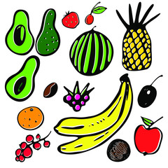 Color set of linear fruits and berries in a hand-draw style. There are: Avocado, strawberries, cherries, watermelon, pineapple, orange, coffee, banana, orange, apple, coconut, raspberry, currant.