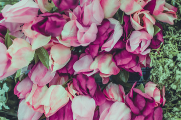 background of pink flowers
