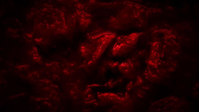Clots red grunge abstraction. Bloody liquid with lumps. Background creative animation. Colorful creative background. Conceptual wallpaper.