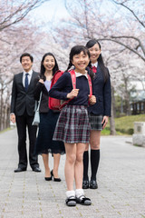 Obraz premium 桜並木の下に立つ家族