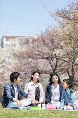 お花見をする家族