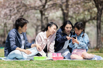 お花見をする家族