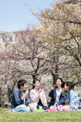 お花見をする家族