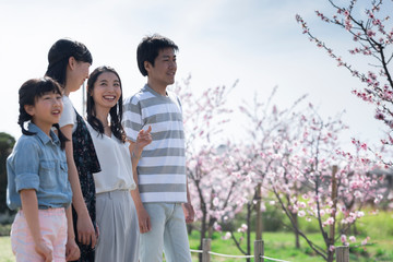 お花見をする家族のポートレート