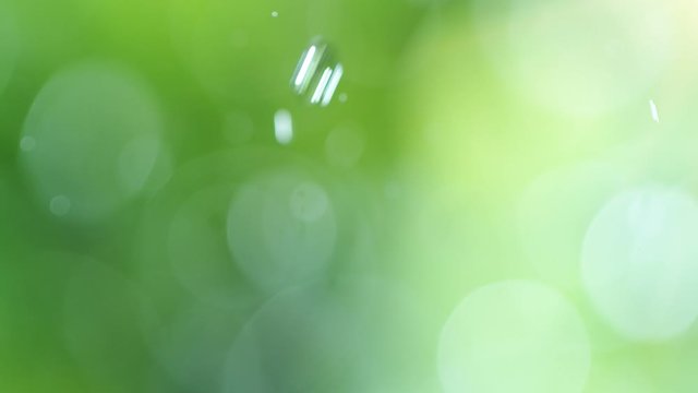 Super slow motion of blur water drops on abstract green background. Filmed on very high speed cinema camera, 1000 fps.
