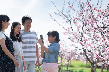 桜を観察する家族