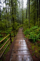 Fototapeta na wymiar Lynn Canyon Park, North Vancouver, British Columbia, Canada. Beautiful Wooden Path in the Rainforest during a wet and rainy day.
