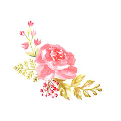 Fototapeta premium Watercolor gentle pink composition of flowers hand drawn on white background