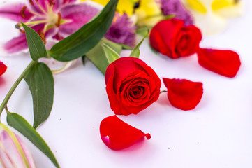 Flowers with white background, flowers and rose petals.