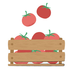 red tomatoes in a wooden box. on white backgroud. sketchy cute cartoon style with texture. gardening illustration