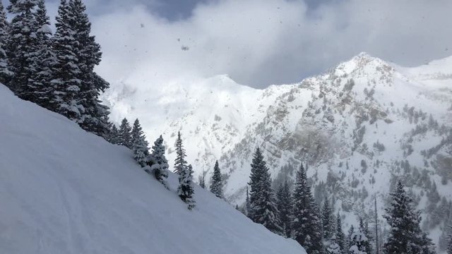Soft snow is slowly falling down at Alta ski resort.