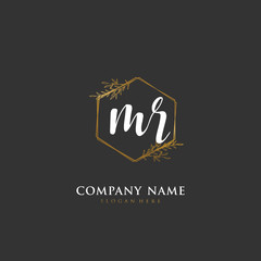 Handwritten initial letter M R MR for identity and logo. Vector logo template with handwriting and signature style.