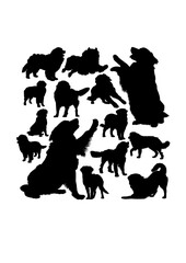 Bernese mountain dog silhouettes. Good use for symbol, logo, web icon, mascot, sign, or any design you want.