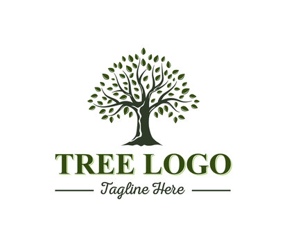 Tree of Life Logo Design Vector Inspiration