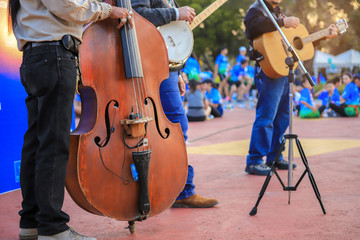 Man Play A Big Guitar In public park . music in the park even