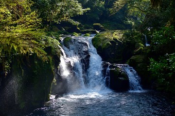 初秋の菊池渓谷のダイナミックな滝の情景＠熊本