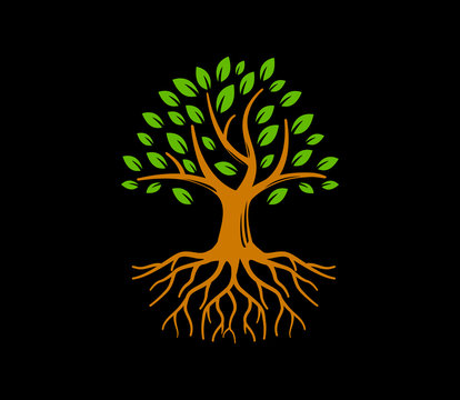 Root Of Tree Life Logo Design Vector Inspiration