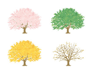 春夏秋冬 -桜の木-（白背景）