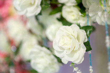 Flowers for weddings and Valentine's Day.