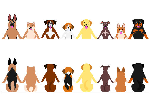 smiling dogs border set, front and back