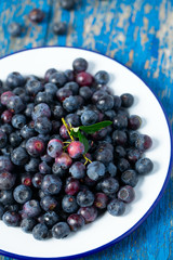 fresh blueberries in a metallic bowl
