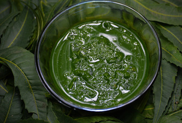 Medicinal ayurvedic azadirachta indica or Neem leaves with neem paste isolated on white background