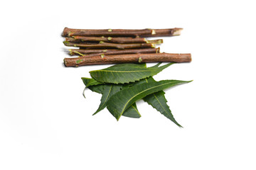 Medicinal Neem leaves and twigs isolated on white background